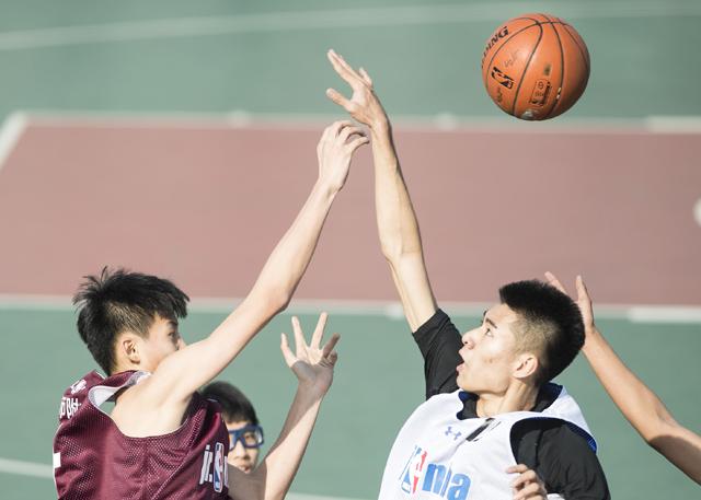 91小视频下载